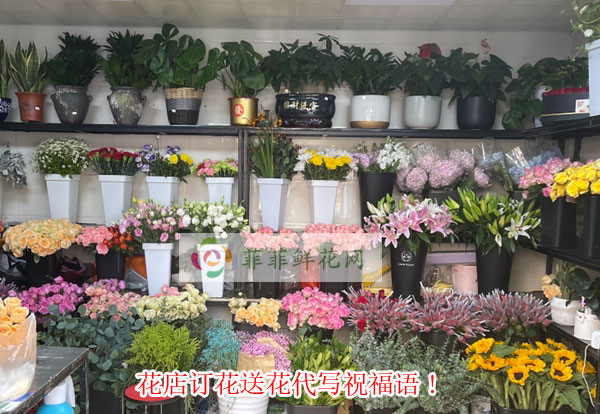 齐齐哈尔昂昂溪区花店订花送花代写祝福语!